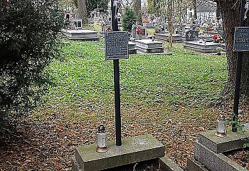 Myśli na każdy dzień - 1 czerwiec w serii „365 dni ze sługą Bożym”